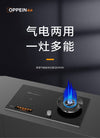 Oppein Hybrid Hob (2-Burner)