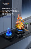 Oppein Gas Hob (2-Burner)