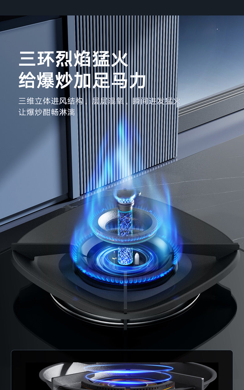 Oppein Gas Hob (2-Burner)