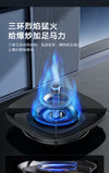 Oppein Gas Hob (2-Burner)
