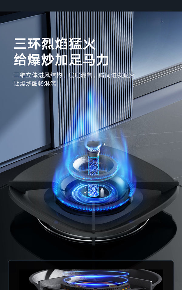 Oppein Gas Hob (2-Burner)