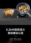 Oppein Hybrid Hob (2-Burner)
