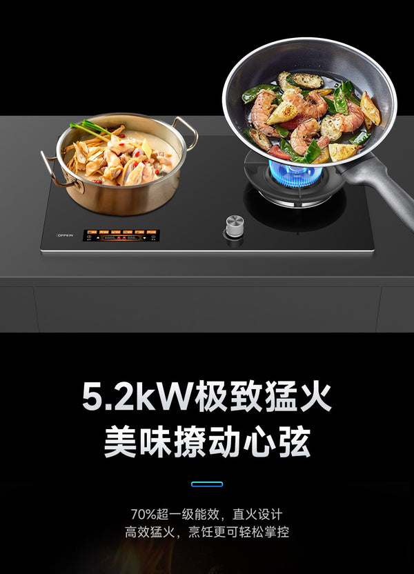 Oppein Hybrid Hob (2-Burner)