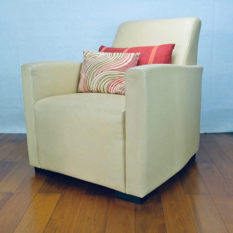 HomeShake Arm Chairs, Recliners & Sleeper Chairs Parry Club Chair (Display Model)